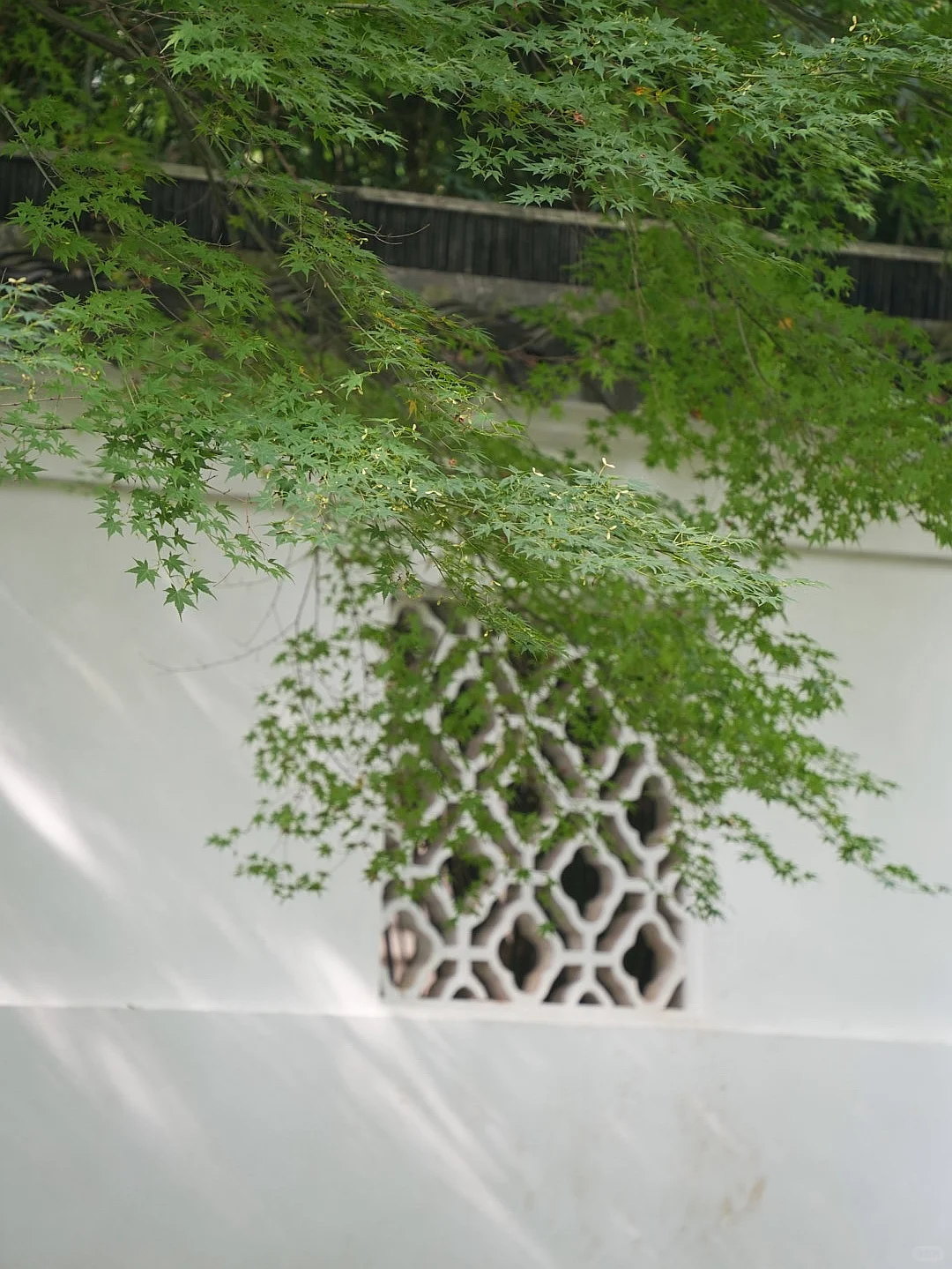 苏州｜一步一景，尽显江南诗意