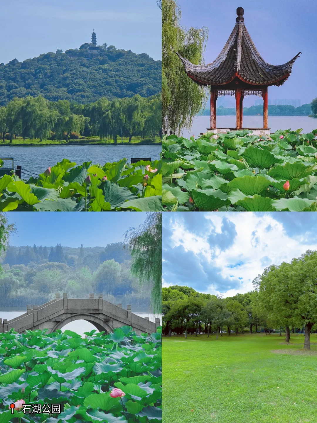 苏州有湖的地方都很震撼，而且还免费