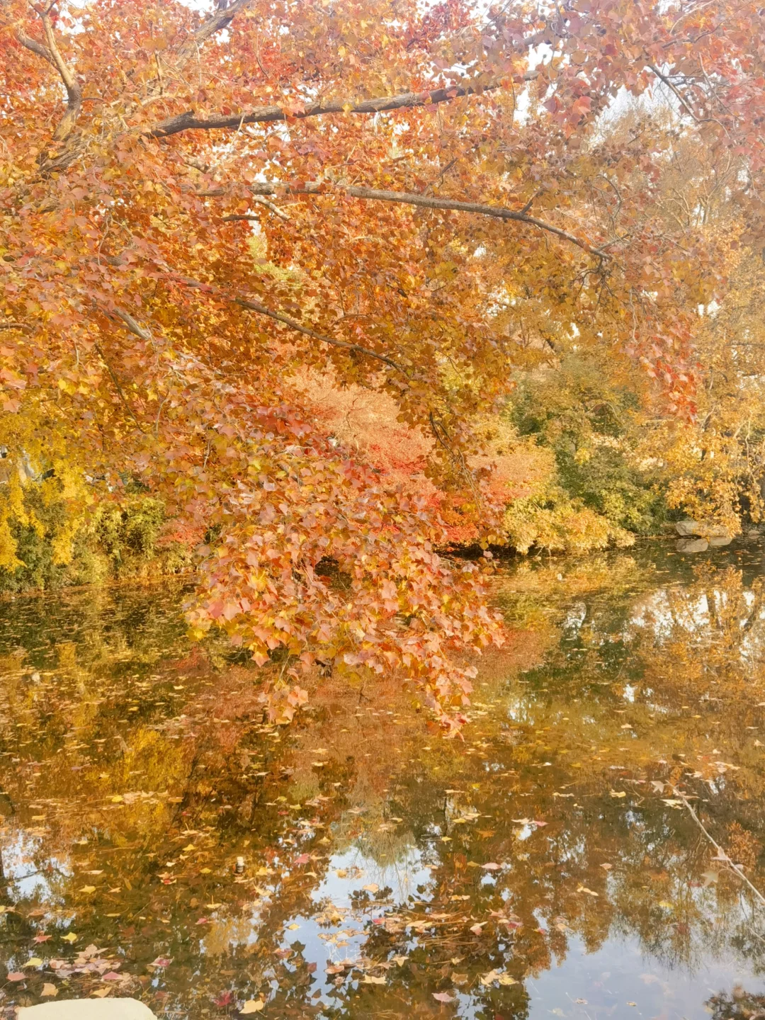 苏州特种兵一日游