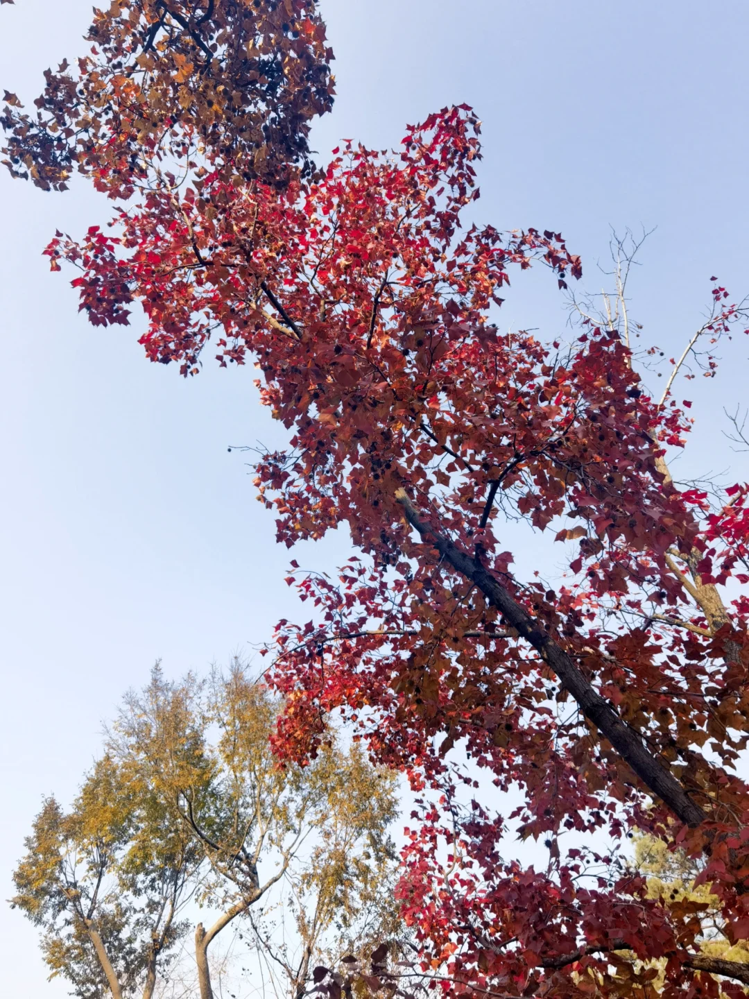 苏州特种兵一日游