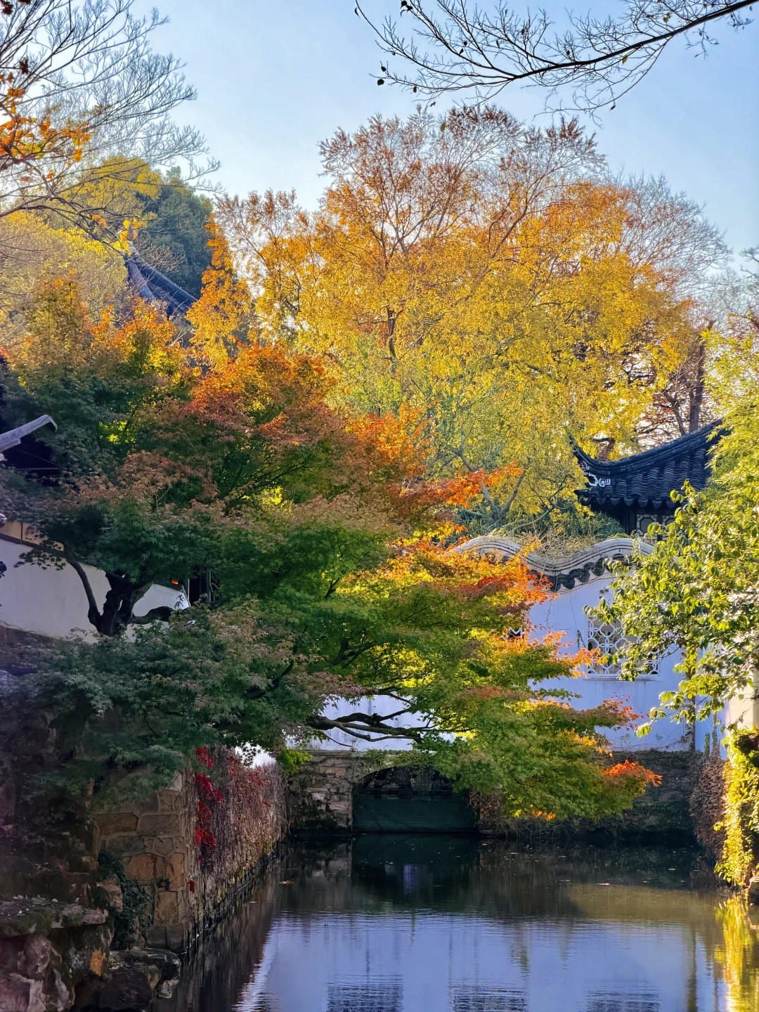 拙政园实况❗️苏州秋天的美，真的很难不爱❗️