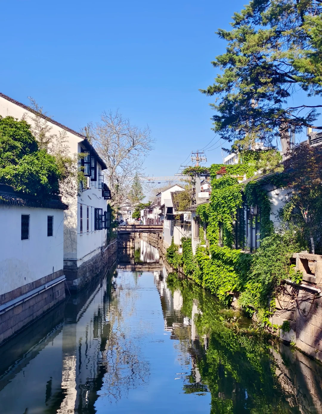 一条平江路，半座姑苏城｜从早到晚攻略