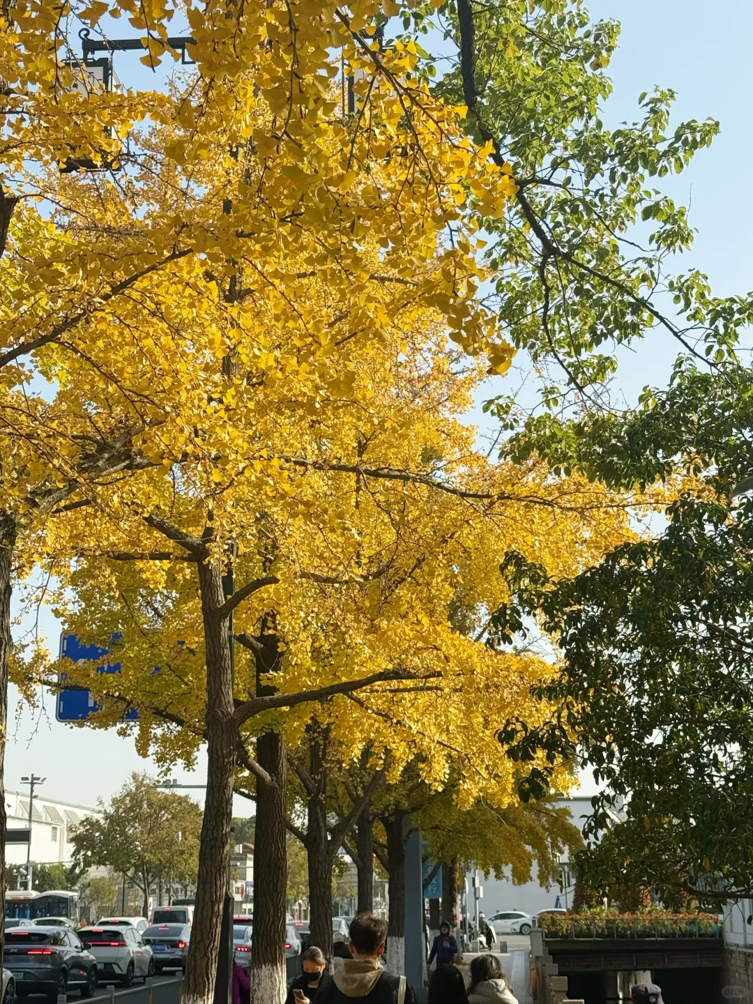 预计下周，全苏州人员都会来这里……