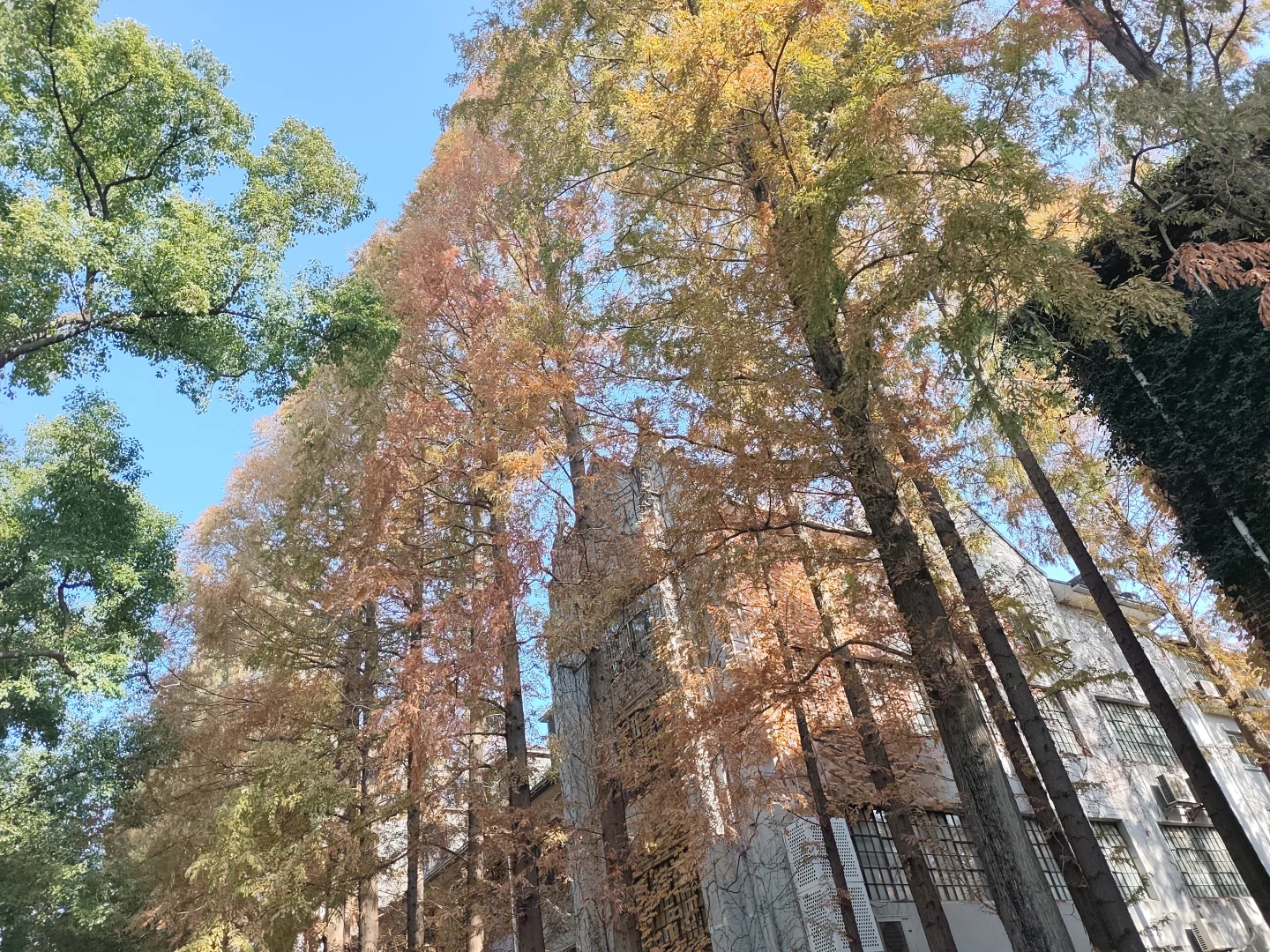 周末，来看下苏州大学