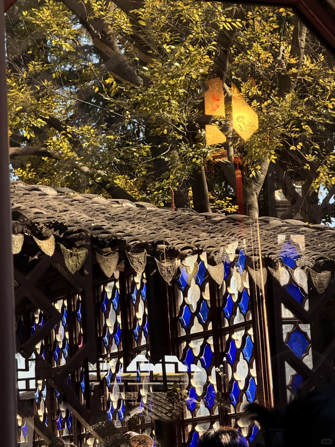 苏州最佳赏秋时间已到！！附拙政园超详细攻略