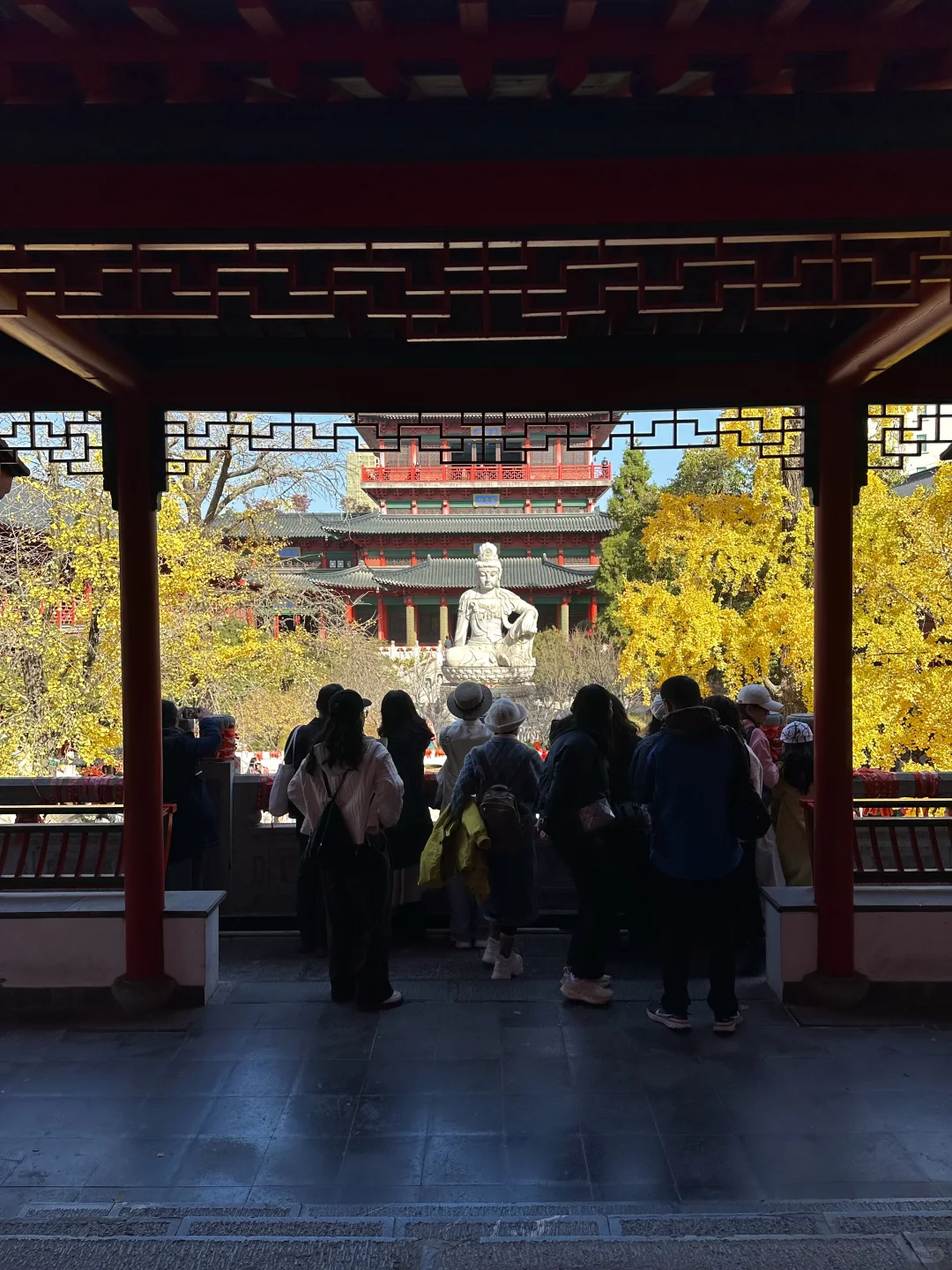 12.1实况！南京的秋天美疯了（合集附地址…