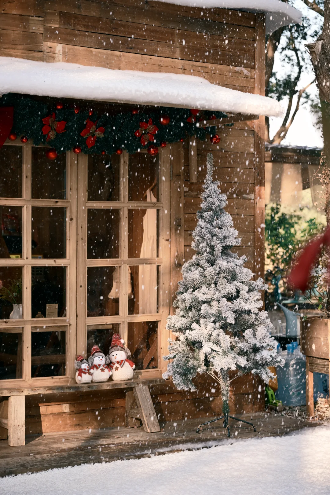 阳澄湖这里的飘雪，也太太太太太好拍了吧！！！