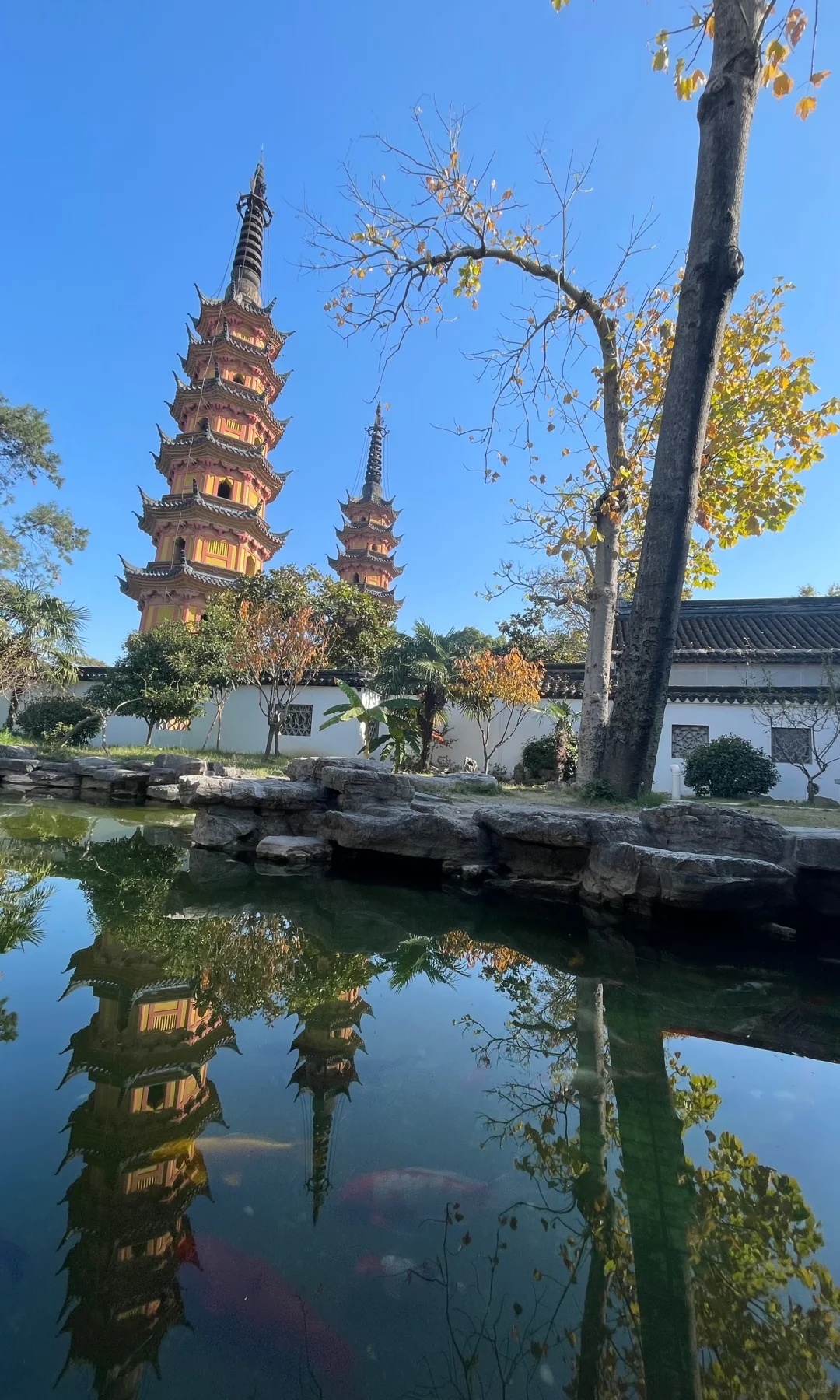 18张live图🍁告诉你苏州秋天有多美！！