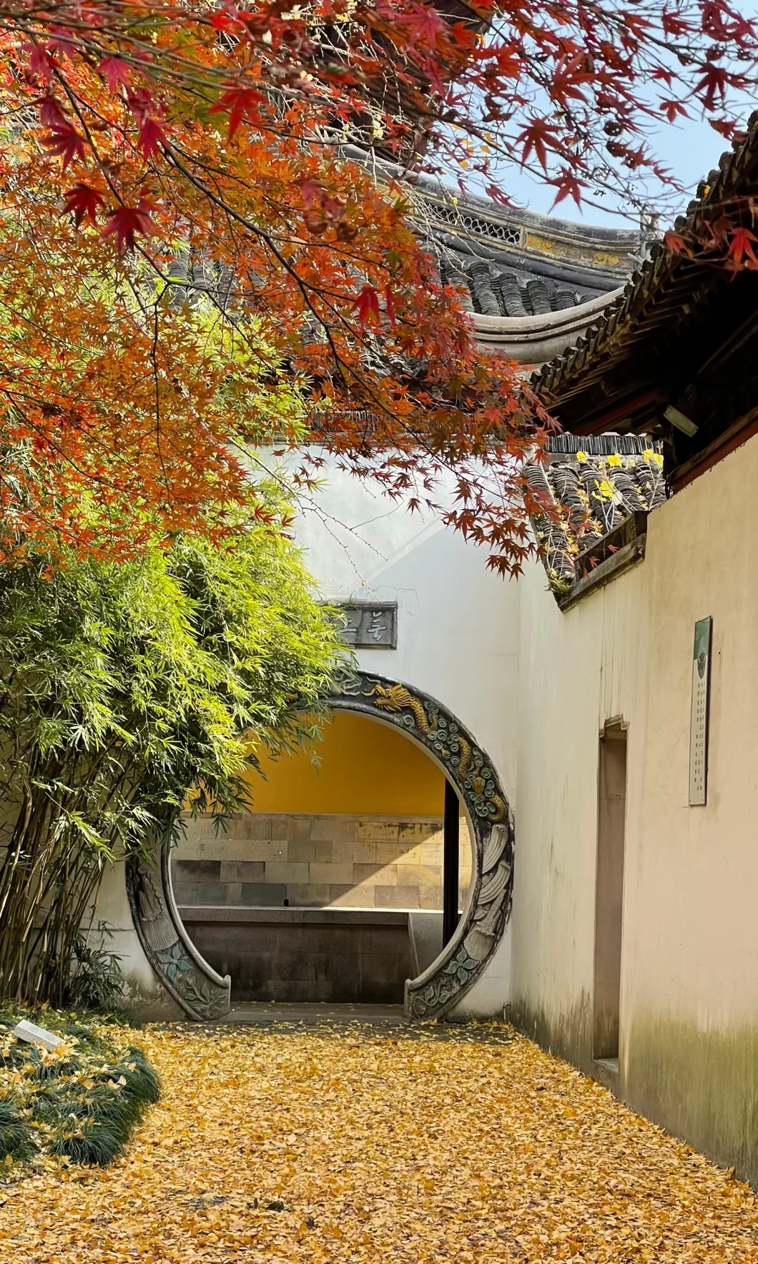 18张live图🍁告诉你苏州秋天有多美！！