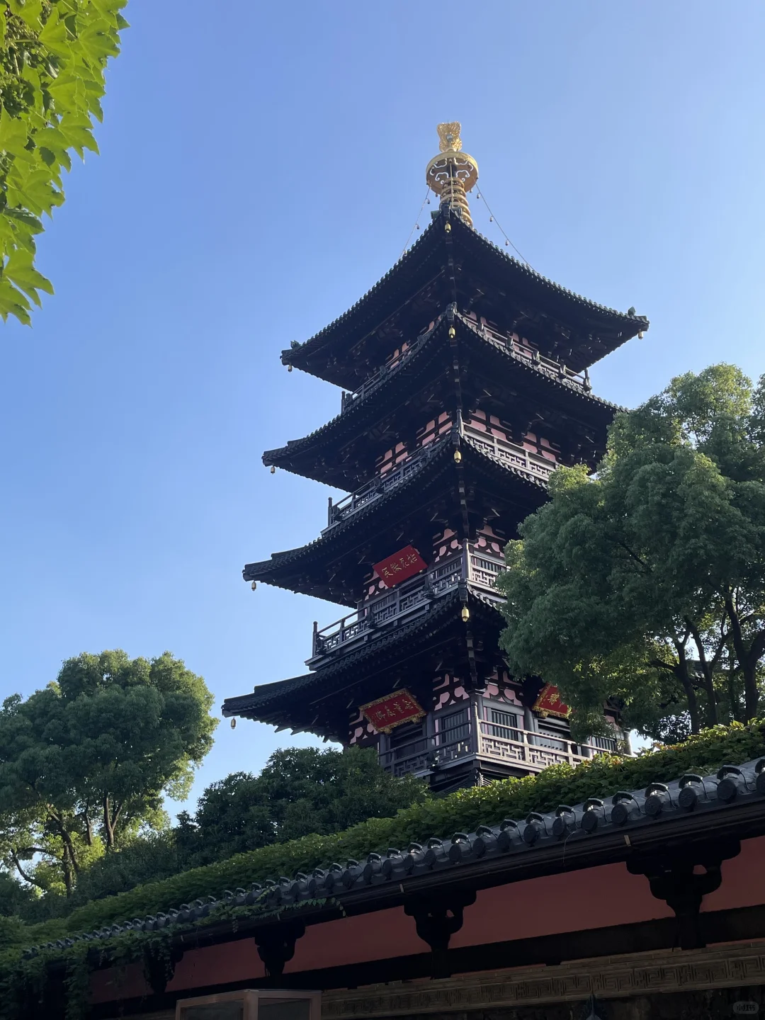 苏州，一砖一瓦一草一木