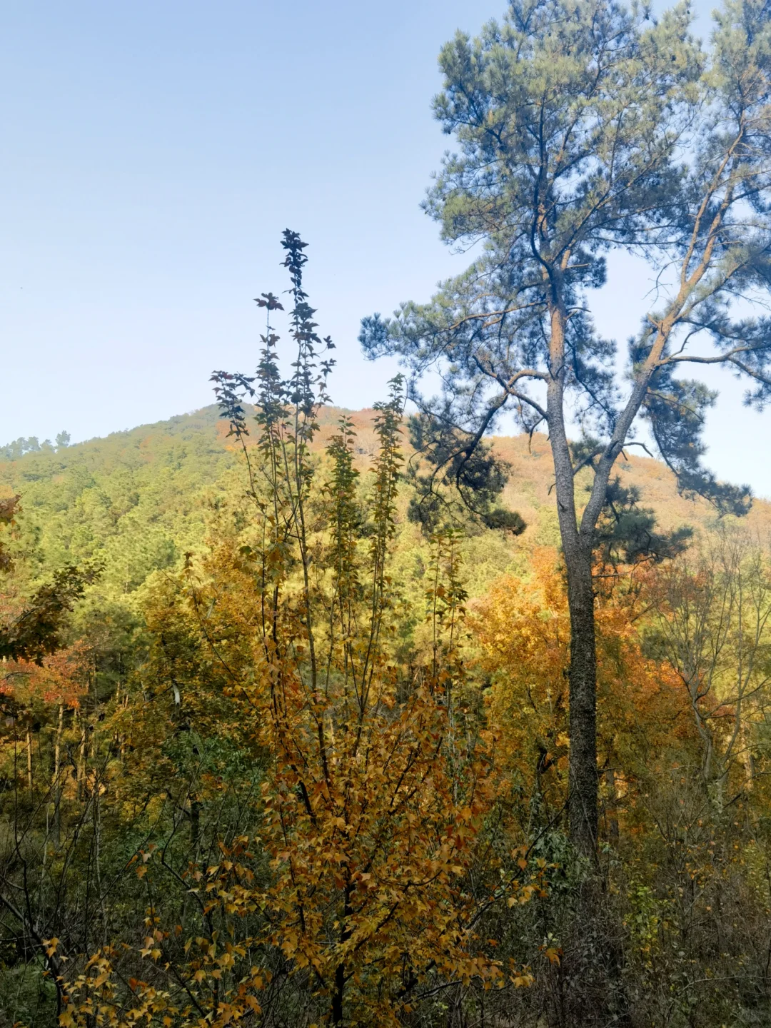 苏州特种兵一日游