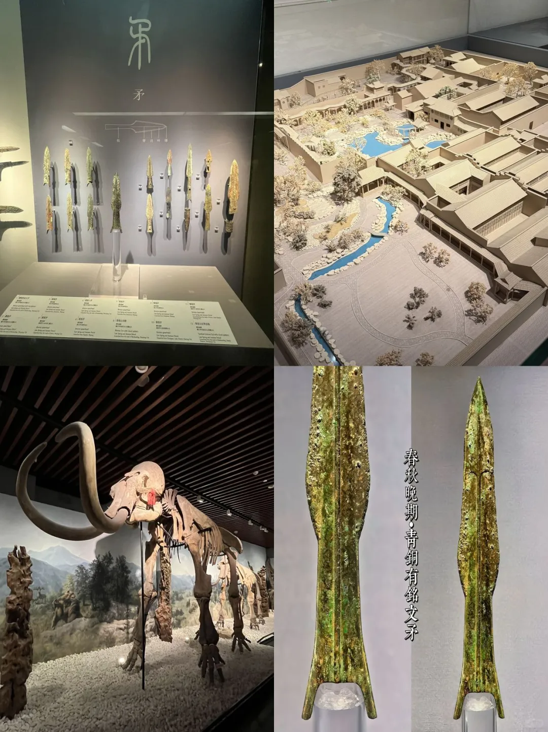 南京旅行顶流！南博人工讲解攻略