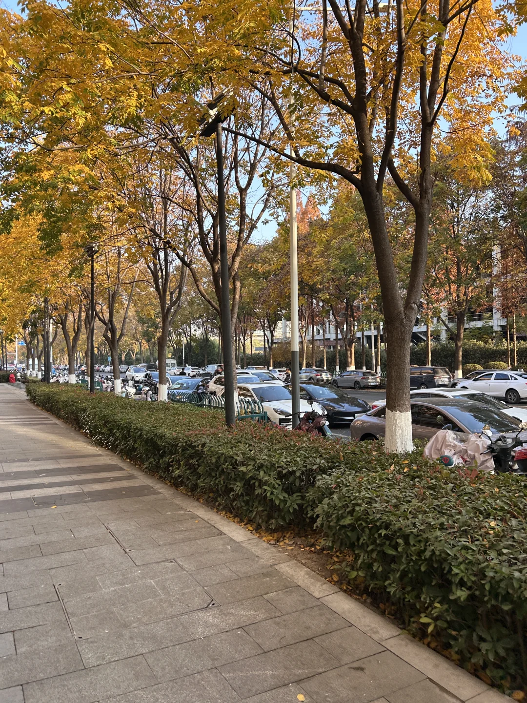 南京你把我养的很好