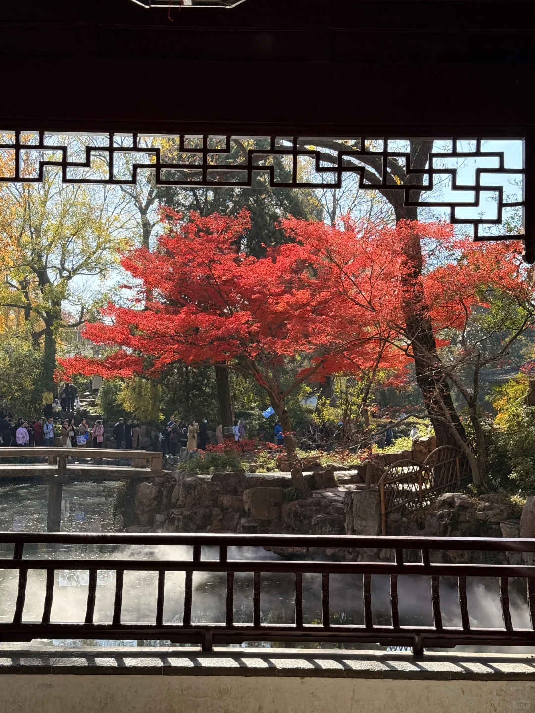 苏州最佳赏秋时间已到！！附拙政园超详细攻略