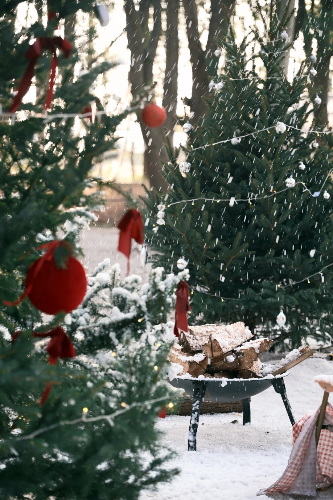 阳澄湖这里的飘雪，也太太太太太好拍了吧！！！