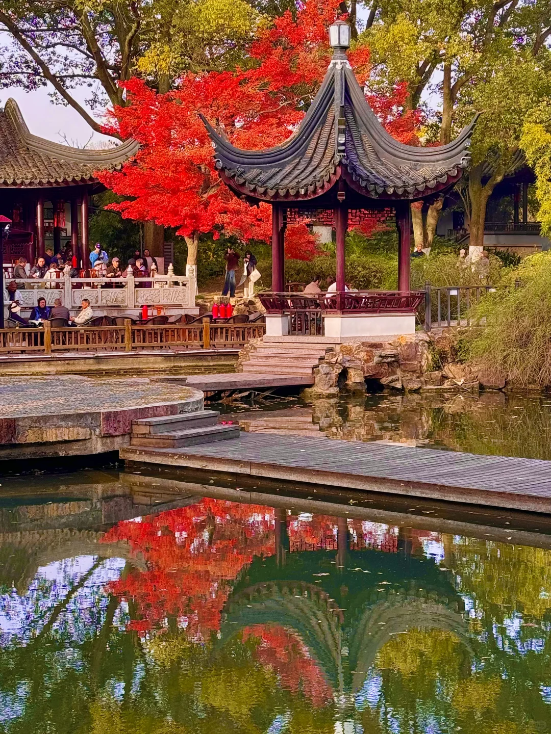 苏州园林的红枫 🍁 真的美炸了！！！