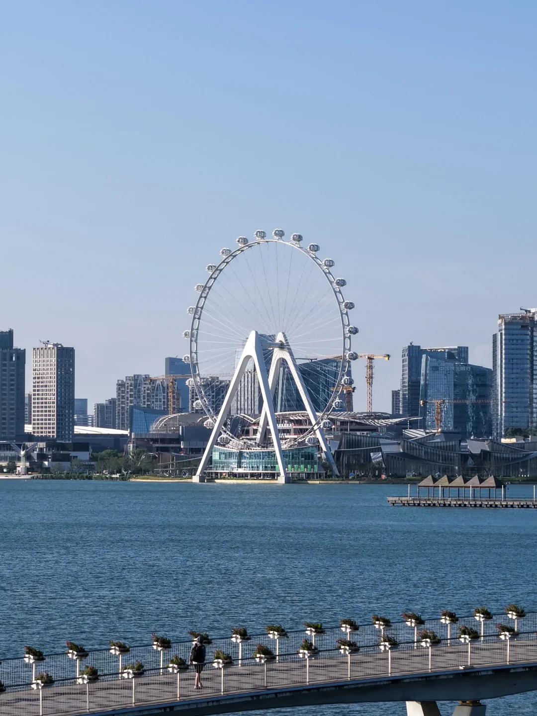 总要来苏州之眼看一次“金鸡海”吧！附机位！