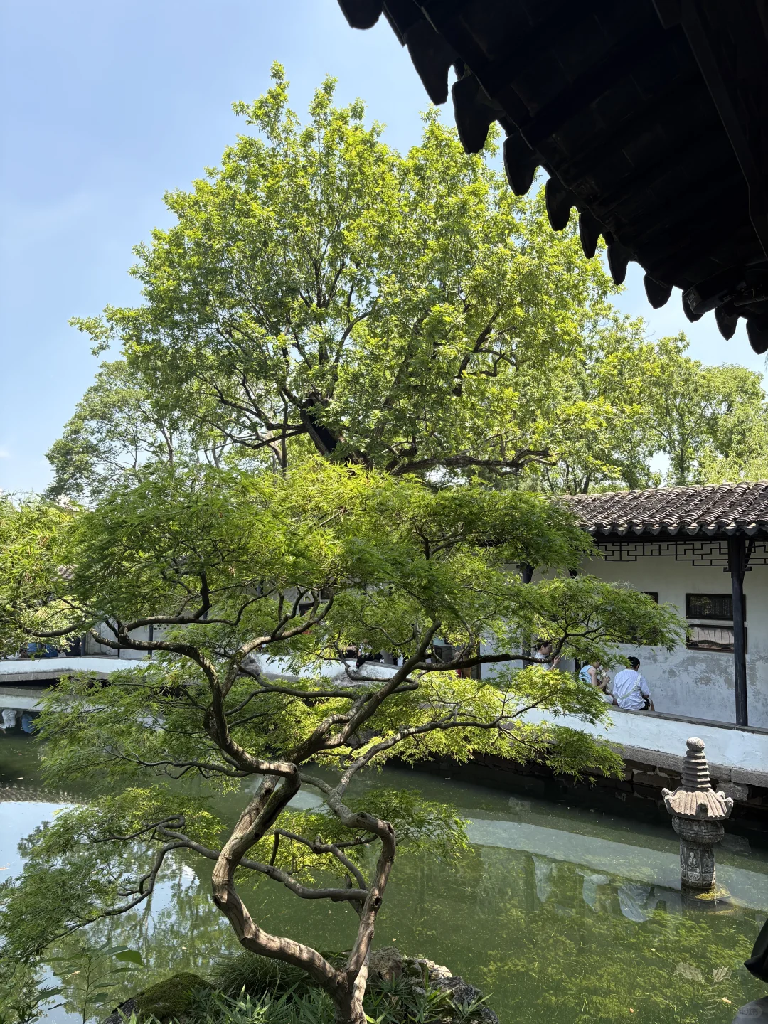 苏州一日游🫠🥵🙃