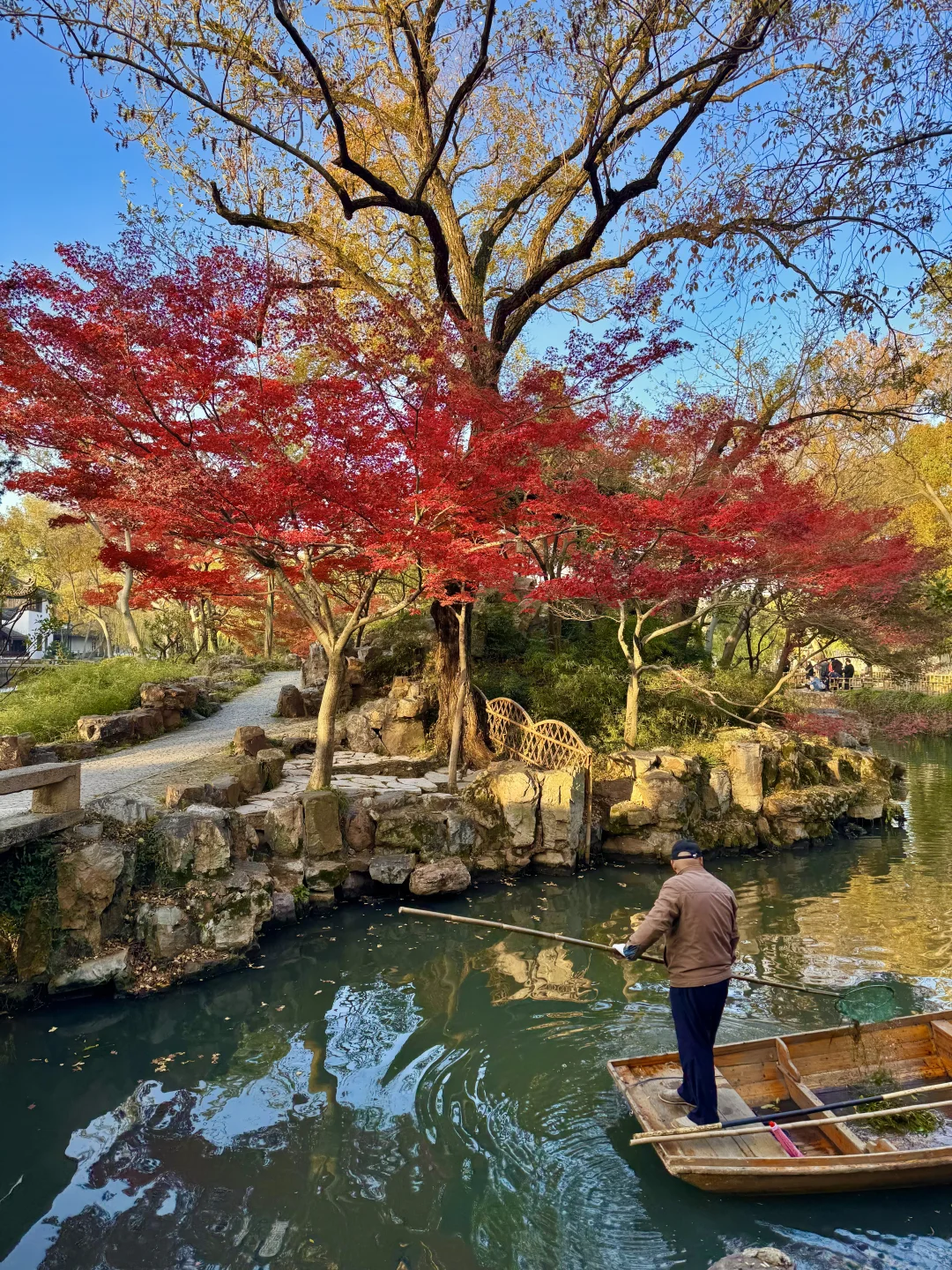 11.29live｜拙政园的秋色美疯了！！！！！🍁