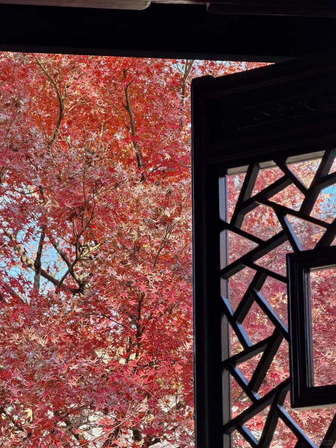 12.3苏州今天杀疯了！！！！！！！！！！！！！！