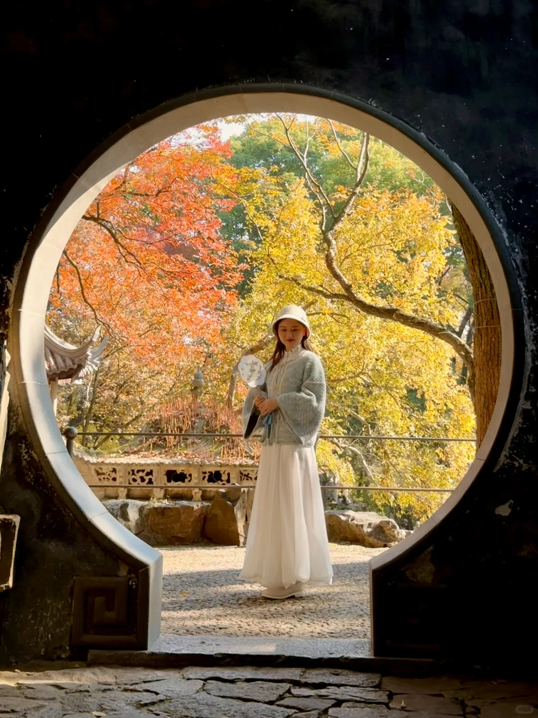 Live🍁接下来的苏州，将迎来封神级别的秋天