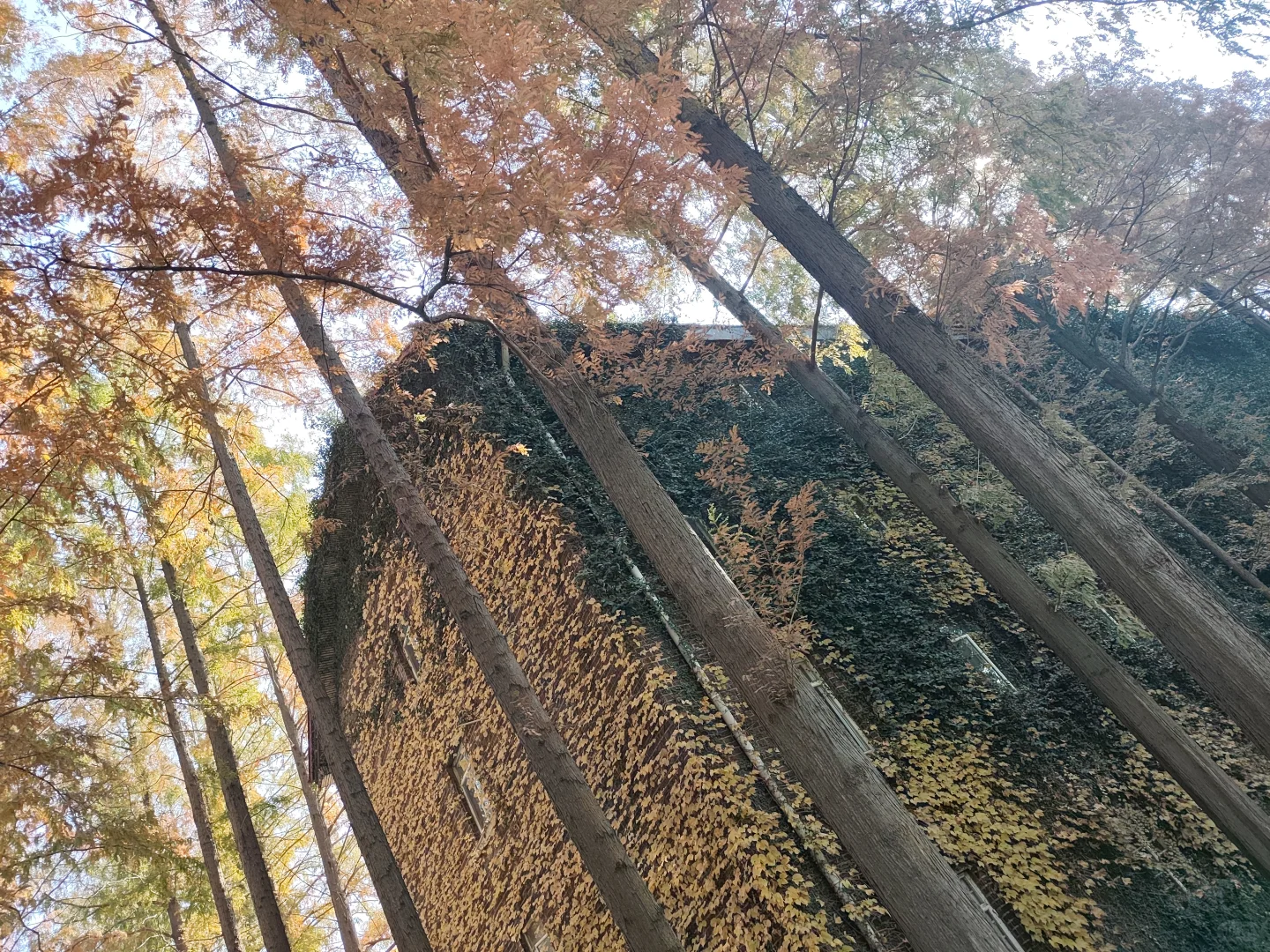 周末，来看下苏州大学