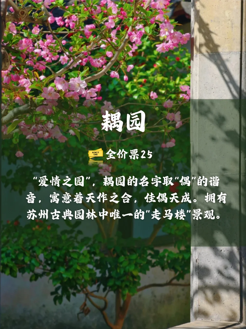 游园|苏州最值得去的九大园林