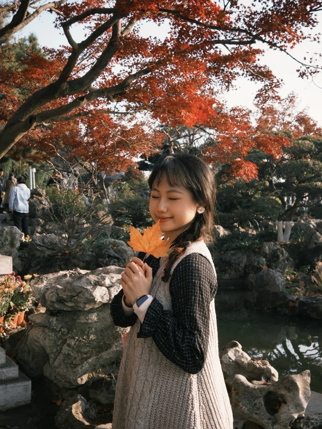 南京你把我养的很好