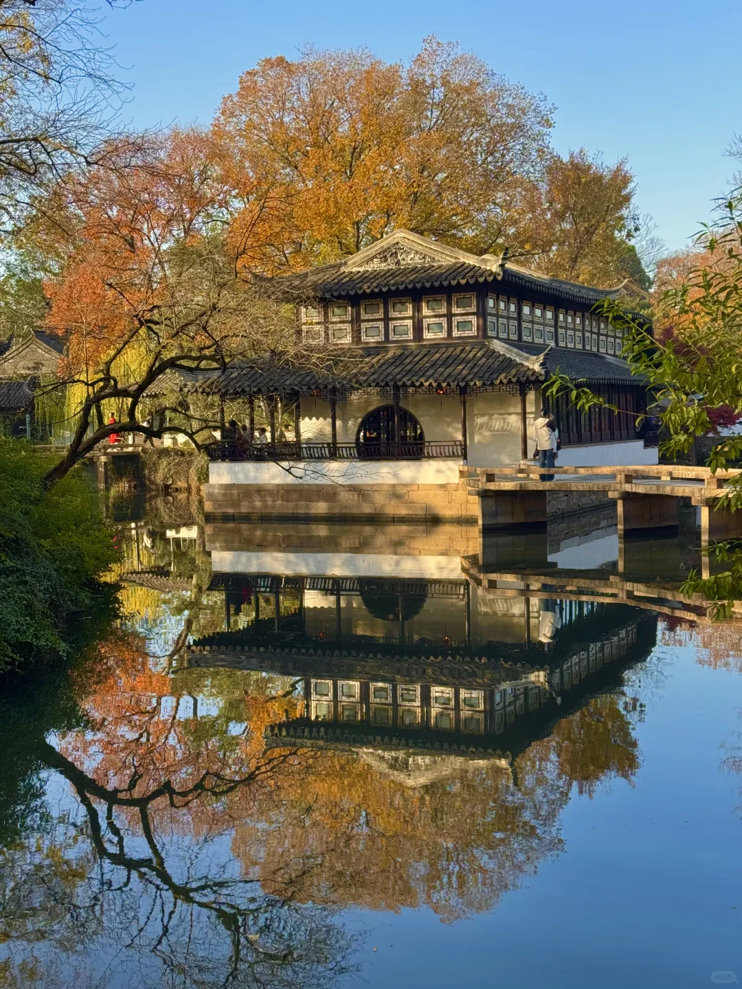 11.29live｜拙政园的秋色美疯了！！！！！🍁