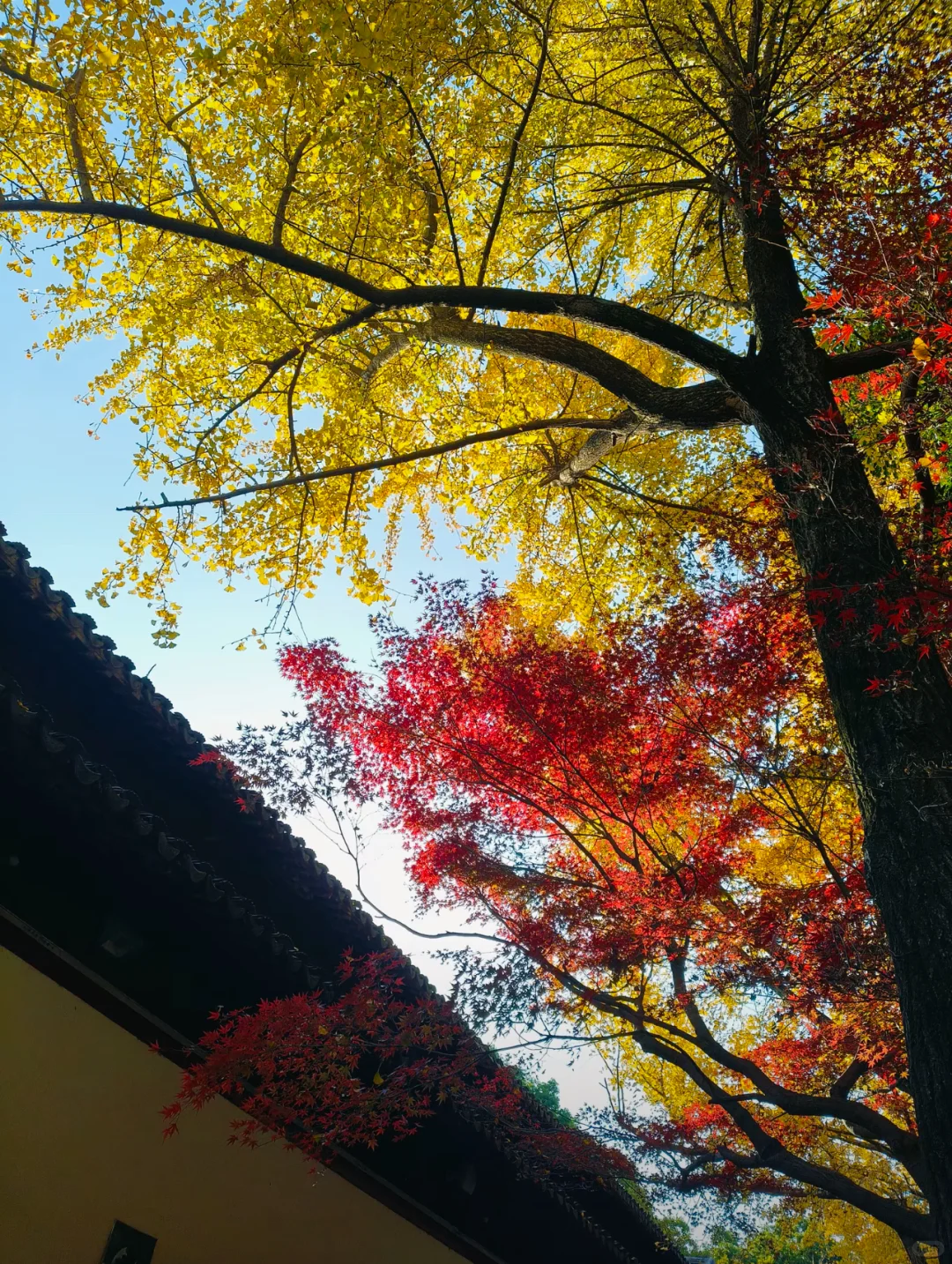 热爱镜头里的每一处苏州