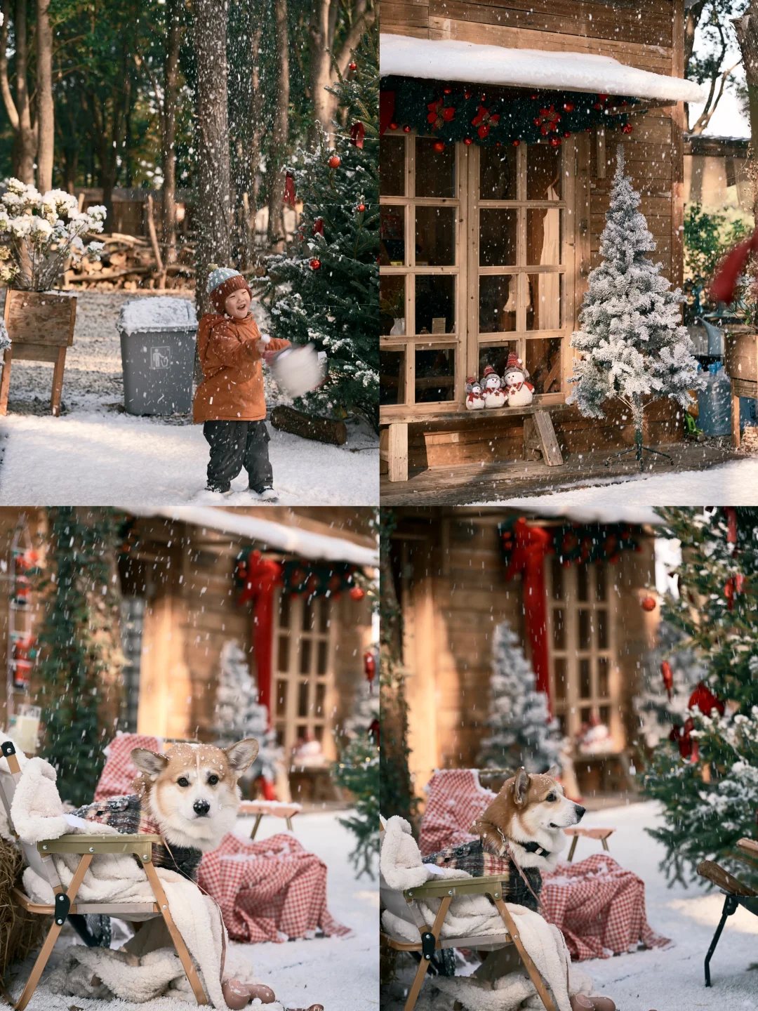 阳澄湖这里的飘雪，也太太太太太好拍了吧！！！