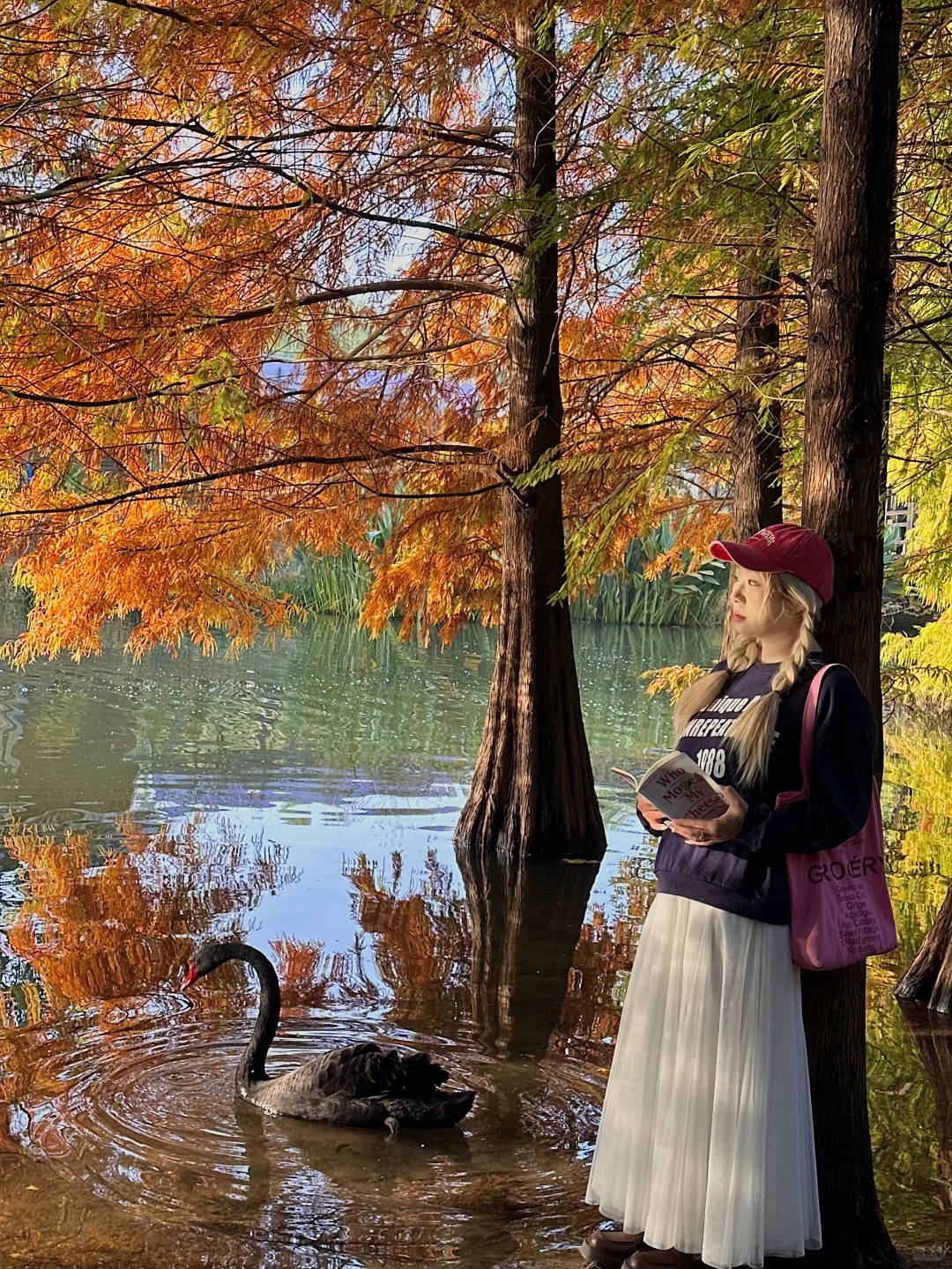 12.1实况！南京的秋天美疯了（合集附地址…