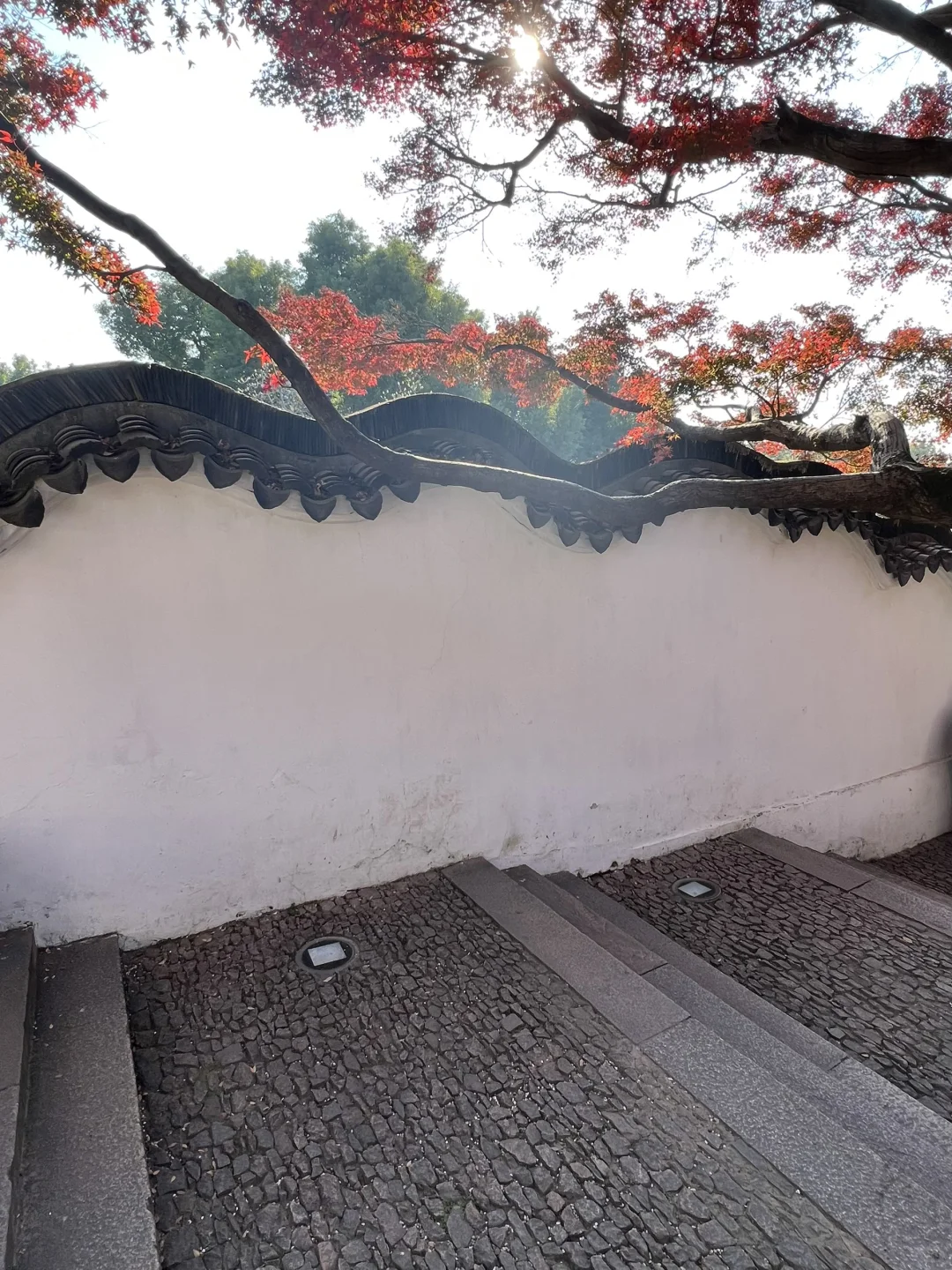 上有天堂、下有蘇杭🌷🌱🌸🍃🍁💐