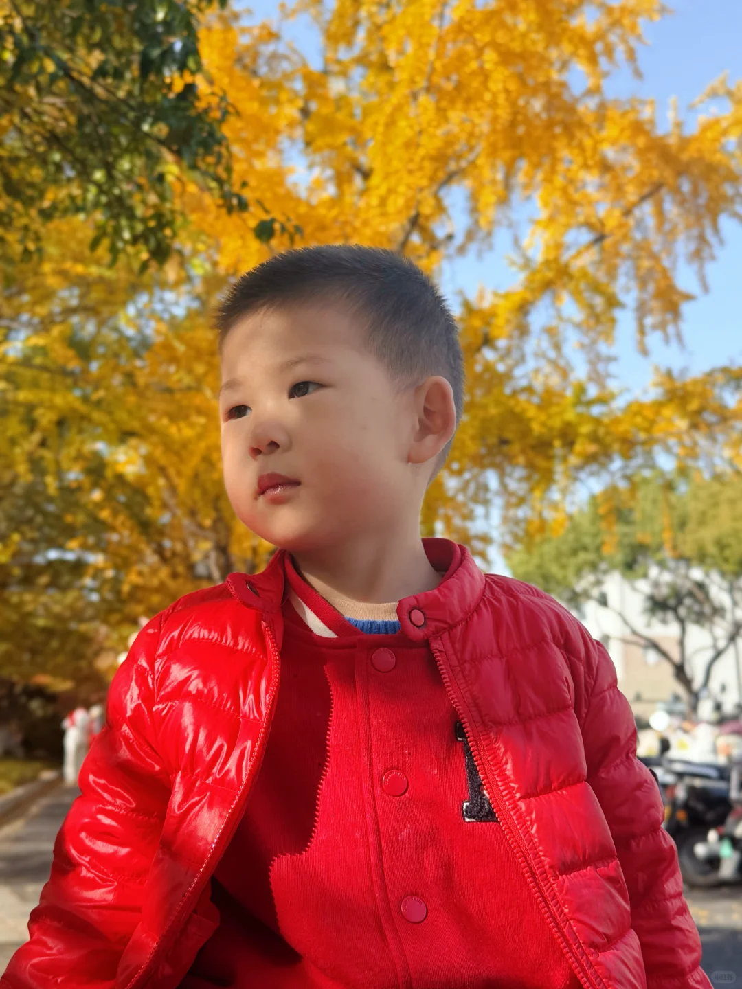 预计下周，全苏州人员都会来这里……