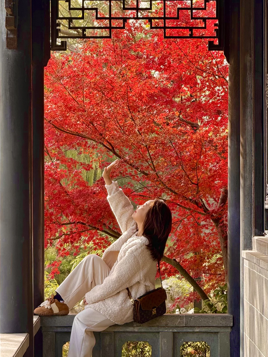苏州园林的红枫 🍁 真的美炸了！！！