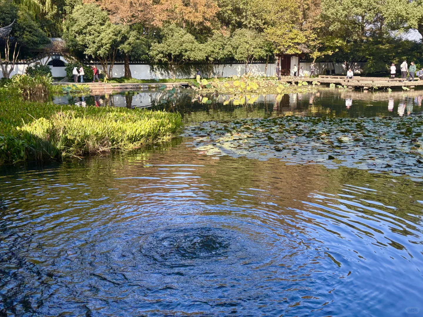 西湖郭庄不逊苏州园林