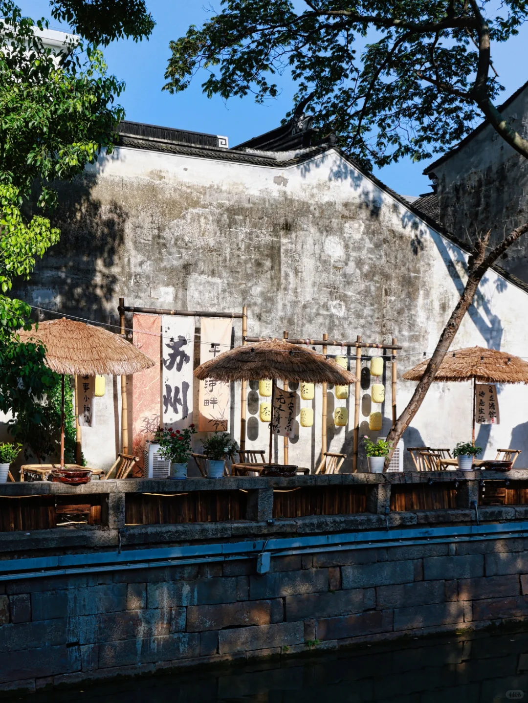 一条平江路，半座姑苏城｜从早到晚攻略