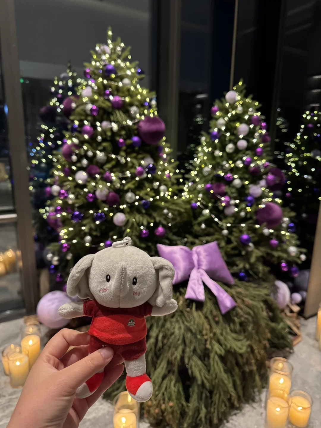 已到苏州 河南加油👏🏻