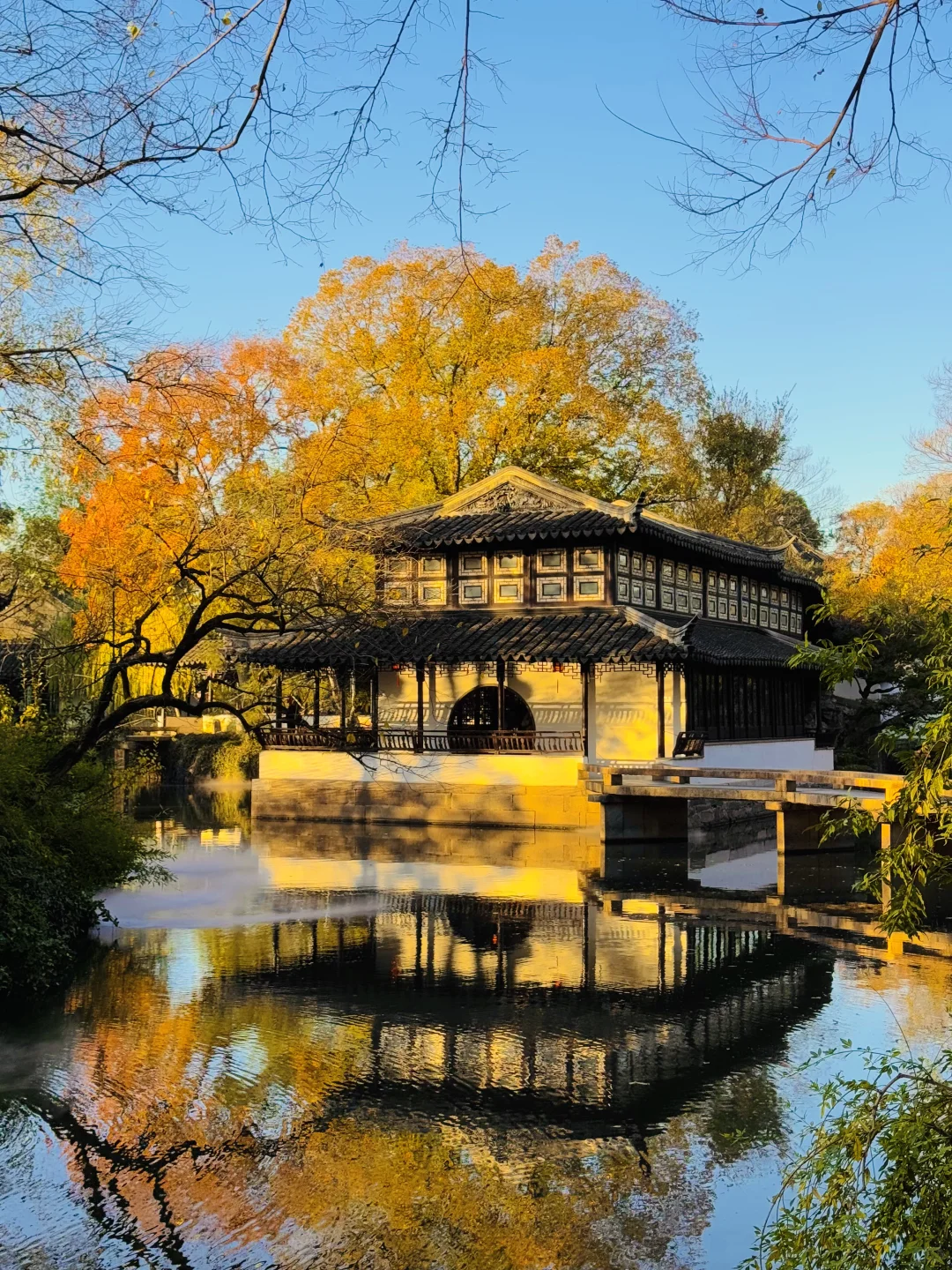 苏州的秋天即将封神 ！！！