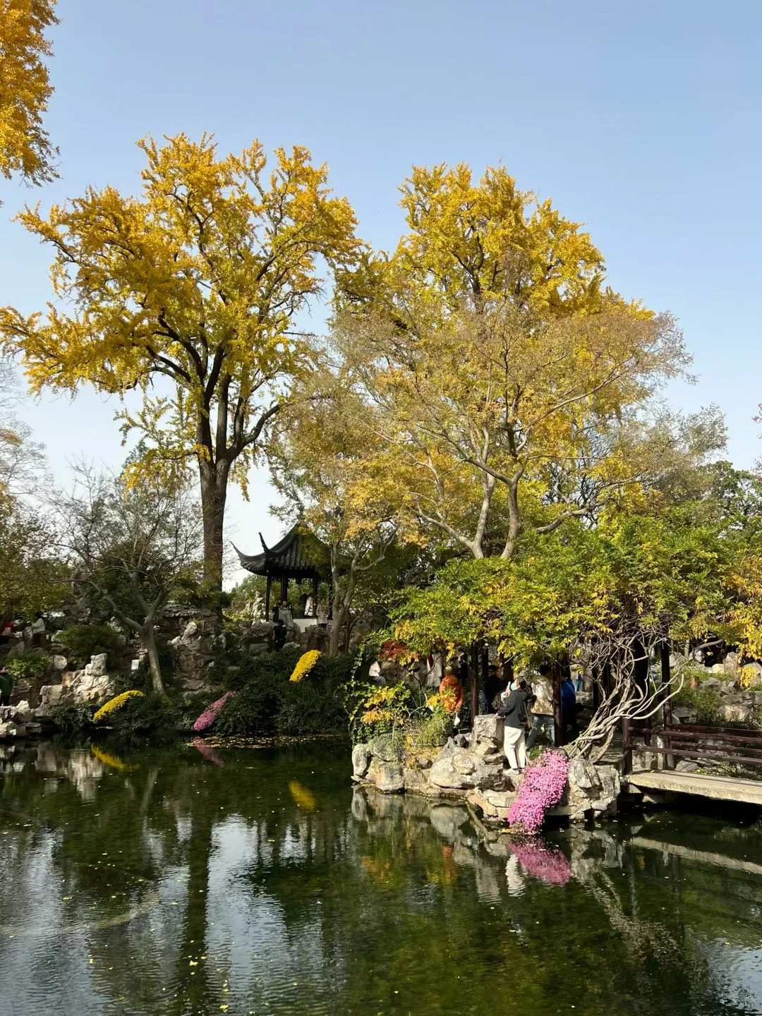 上有天堂、下有蘇杭🌷🌱🌸🍃🍁💐