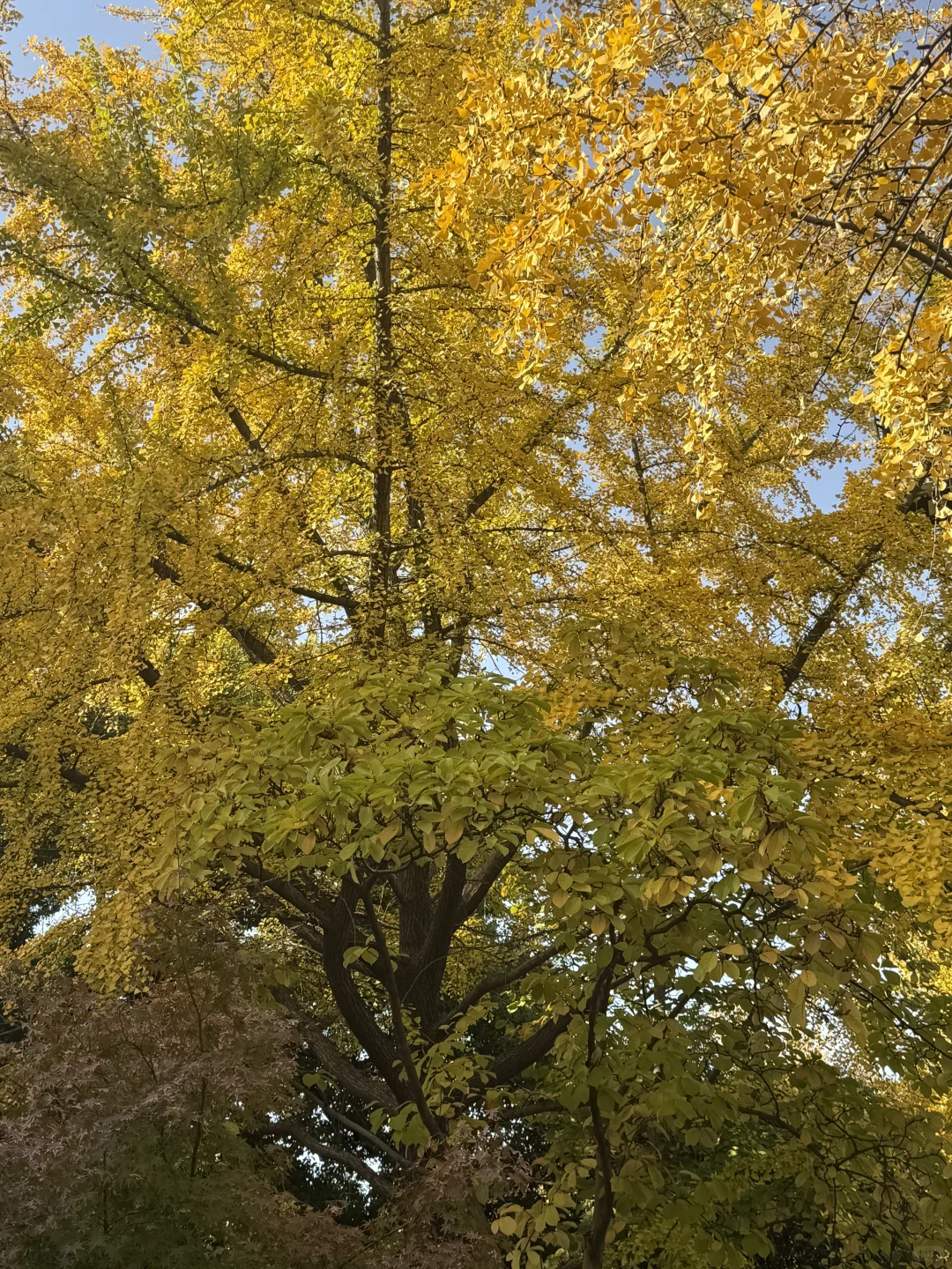 预计下周，全苏州人员都会来这里……