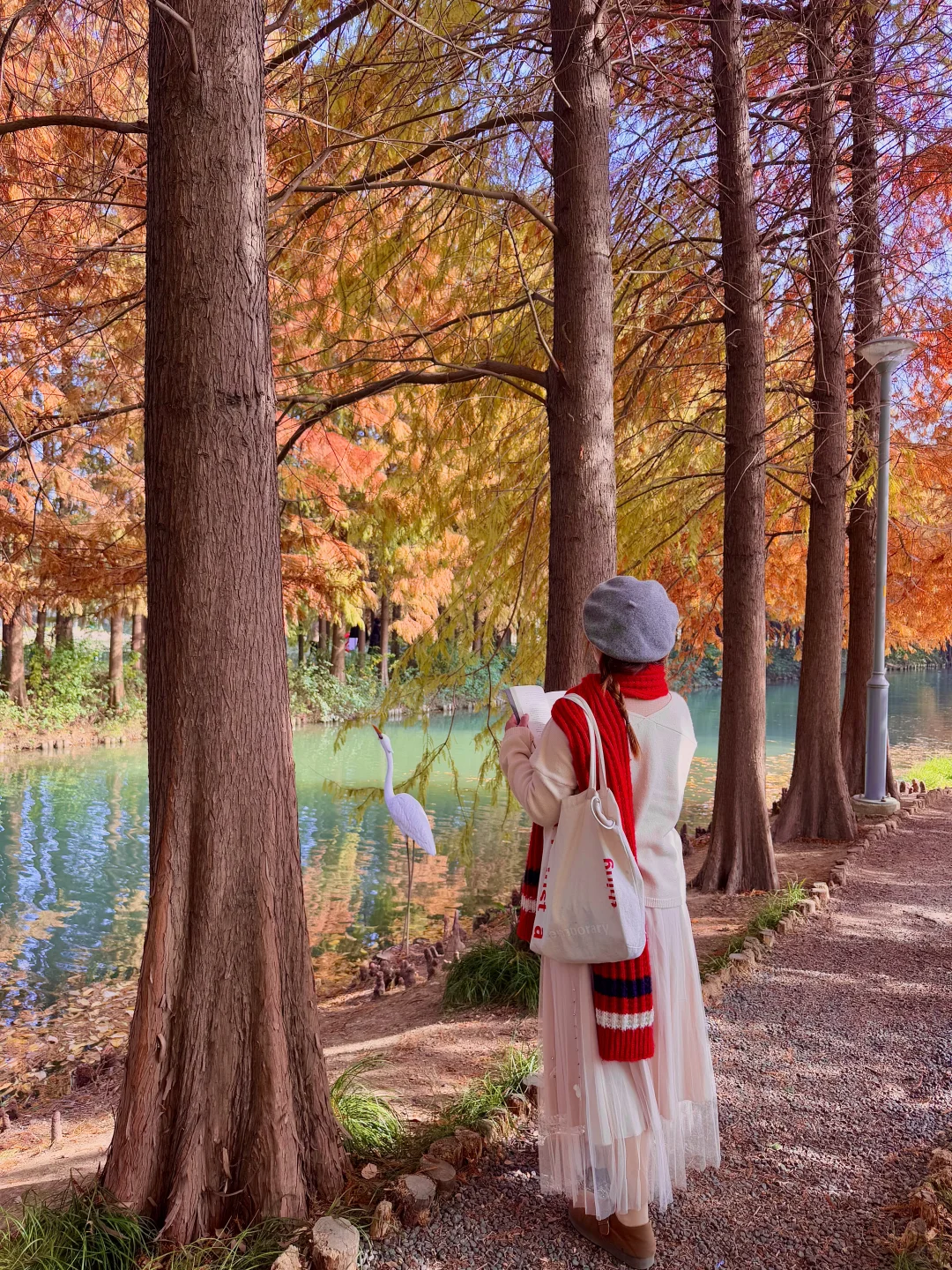 12.1实况！！！苏州的秋天🍂公园都美到失语…