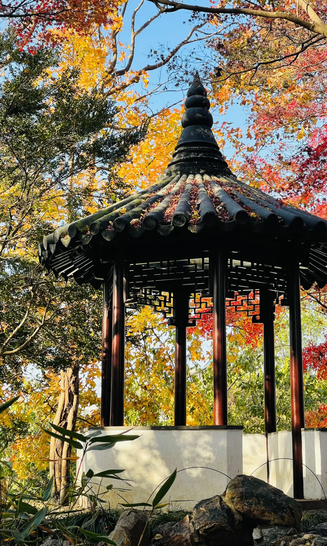 18张live图🍁告诉你苏州秋天有多美！！