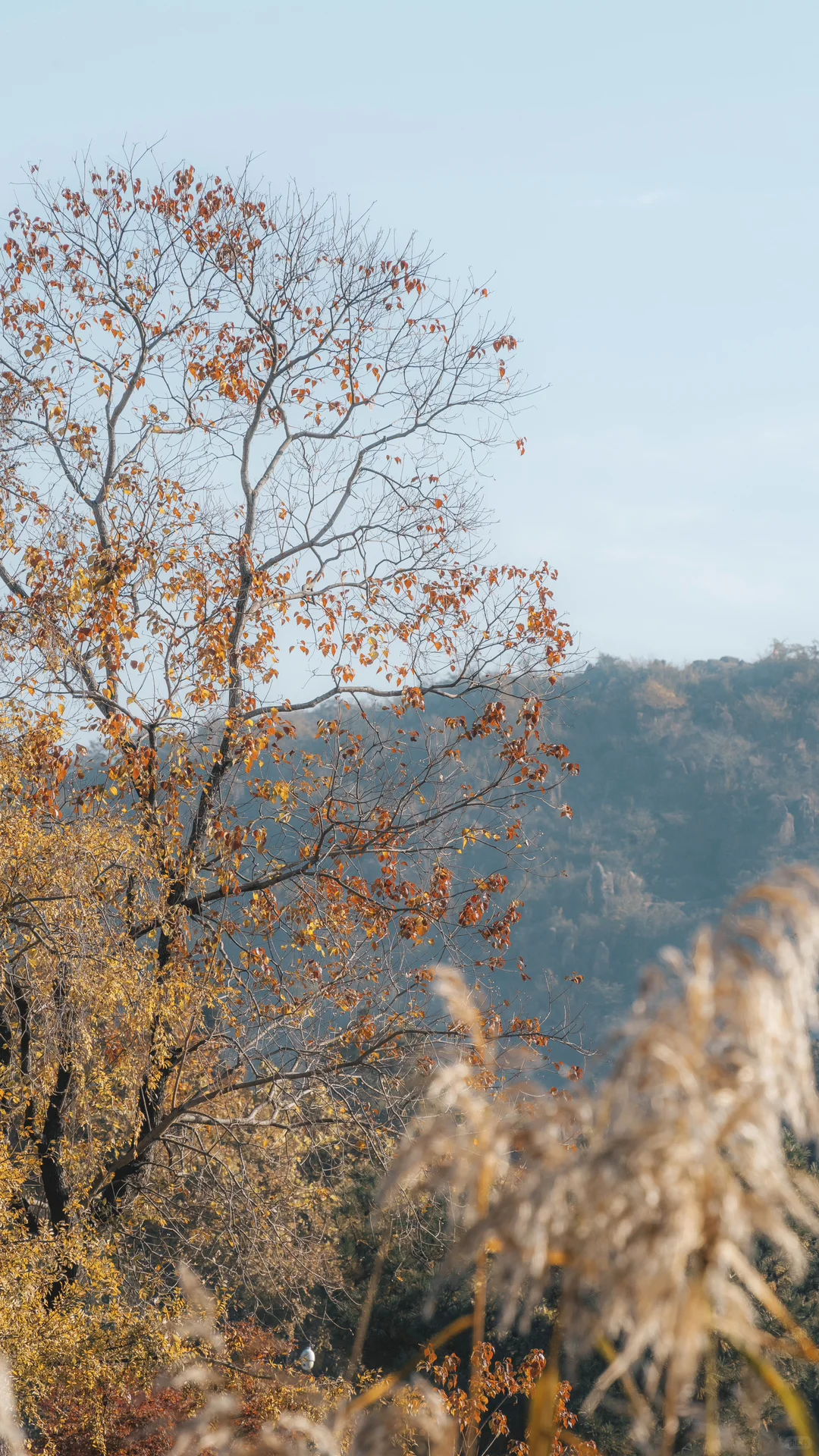 天平山，苏州色彩最丰富的秋天在这里