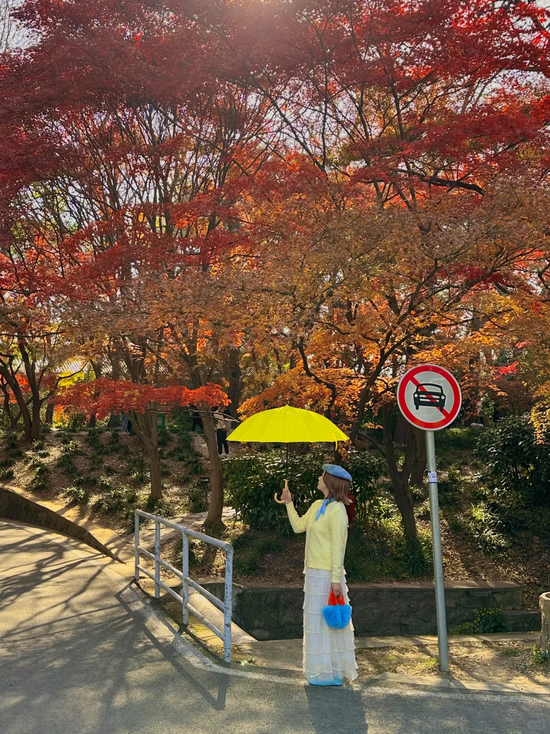 12.1实况！南京的秋天美疯了（合集附地址…