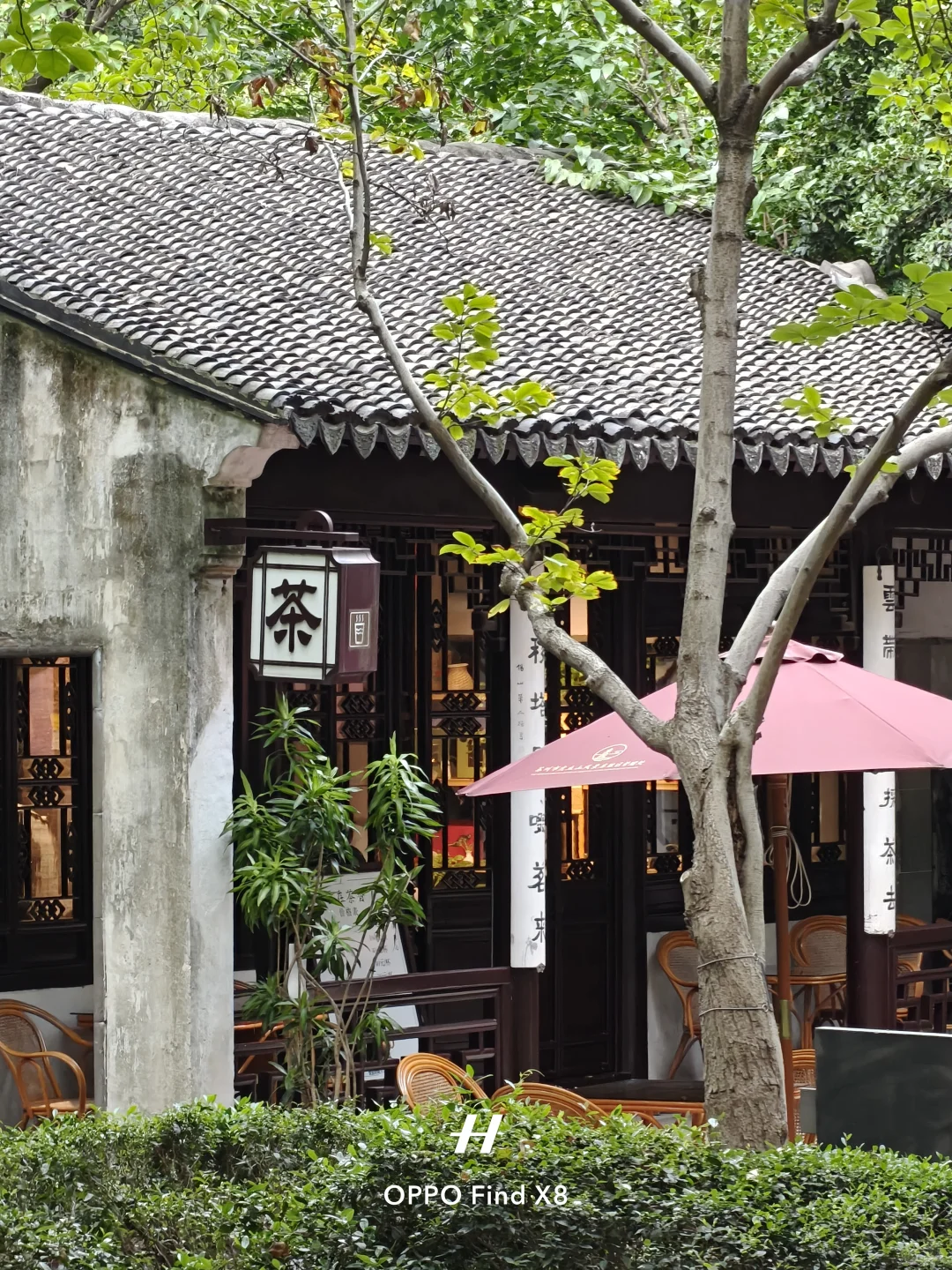 不是我想象中的江南