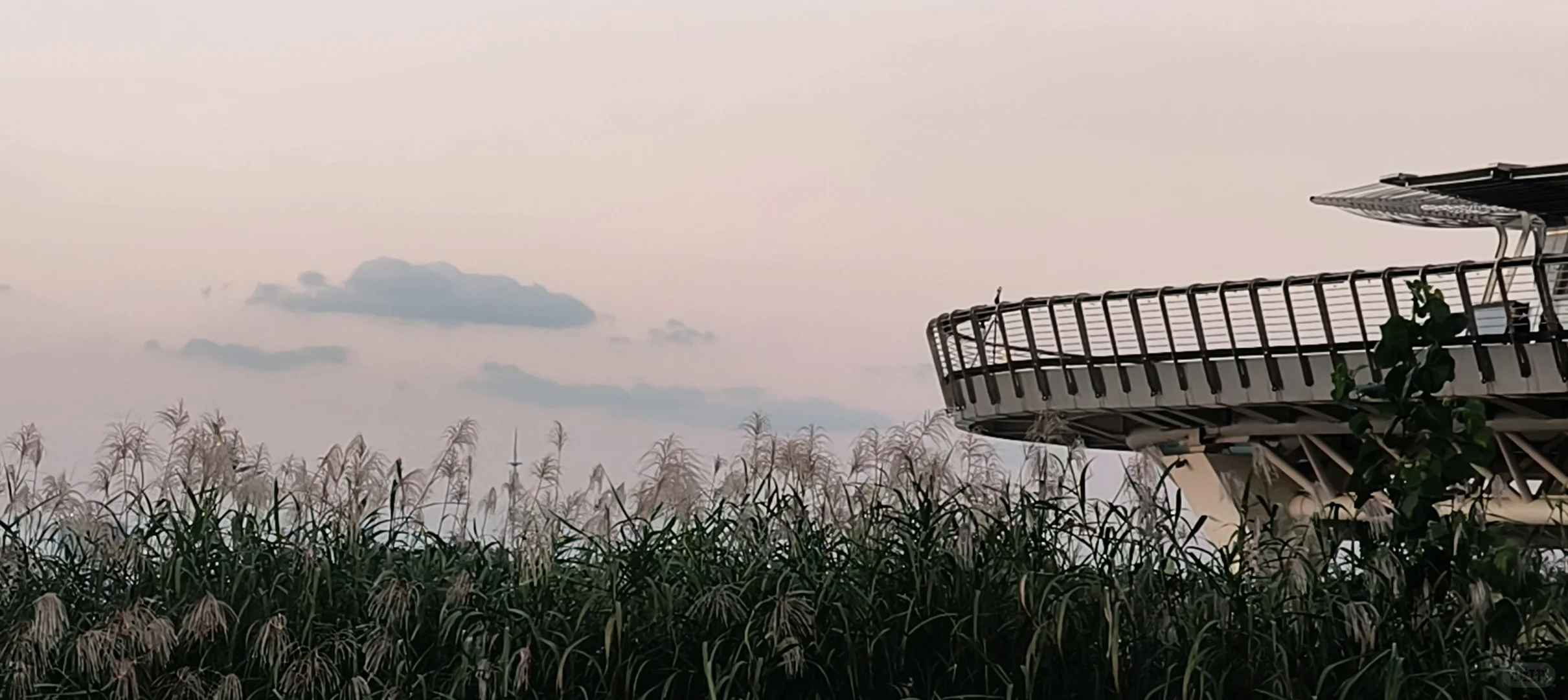 对方邀你云游南京眼