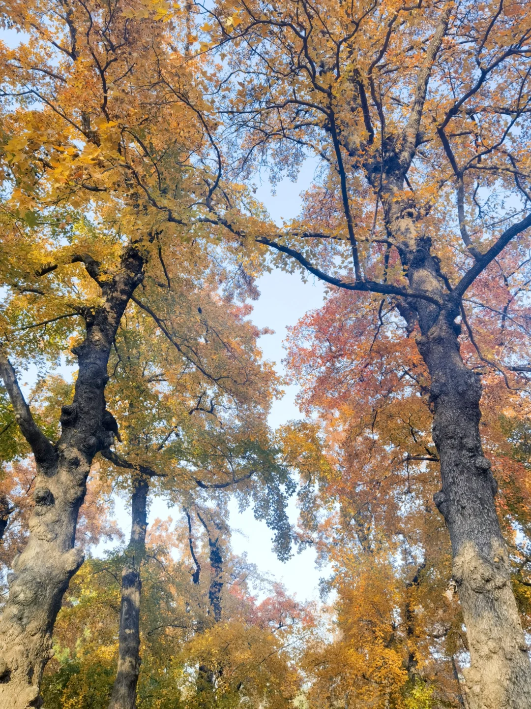苏州特种兵一日游