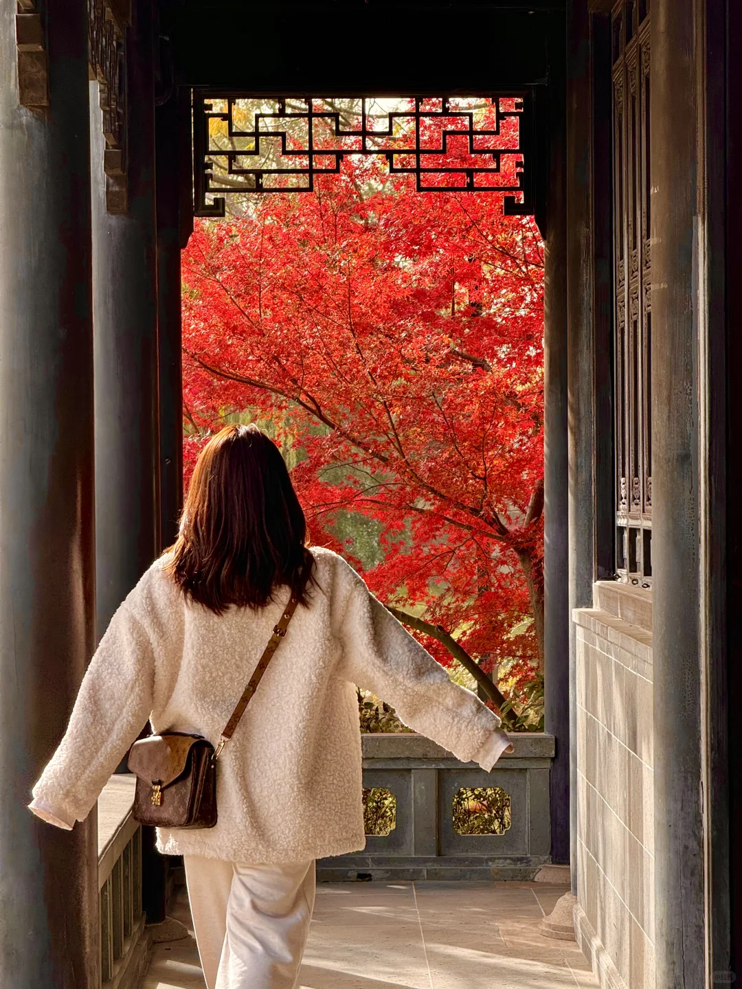 苏州园林的红枫 🍁 真的美炸了！！！