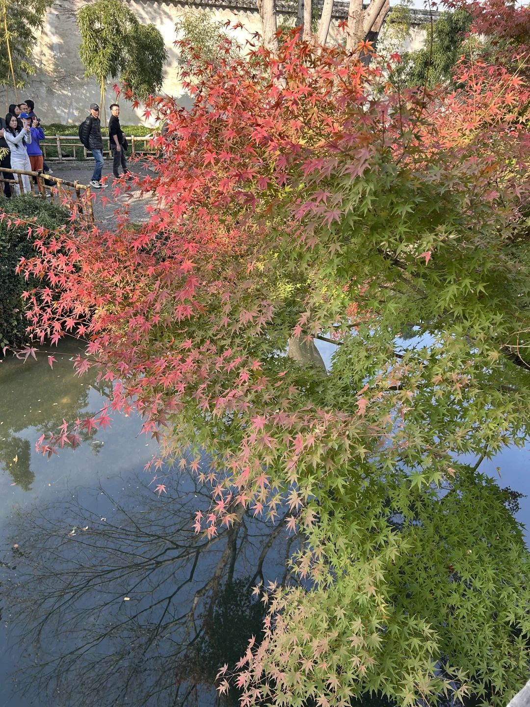 中国四大名园之一，拙政园🍂